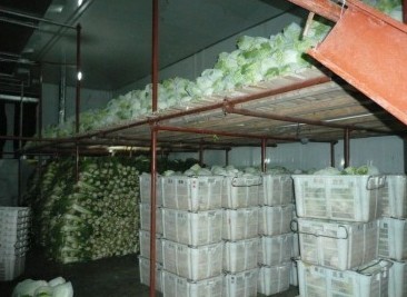 杭州食品冷库对于食品安全重要性的作用